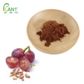 Natural anti-oxidant Grape seed extract powder OPC